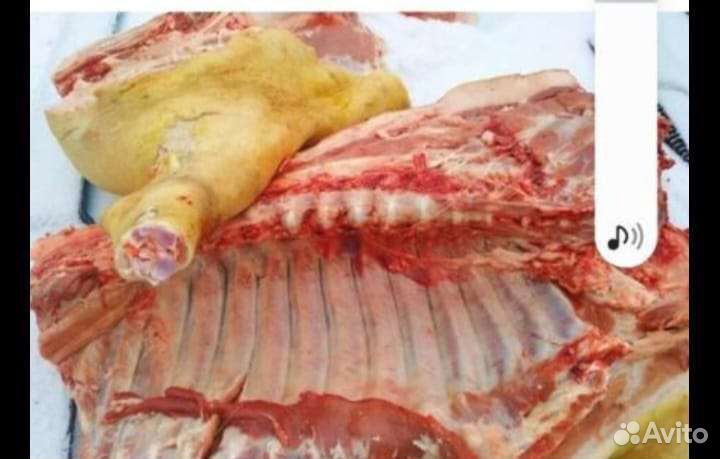 Мясо говядина свинина баранина