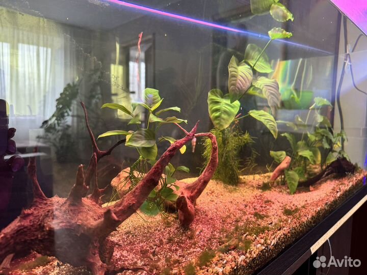 Аквариум с тумбой