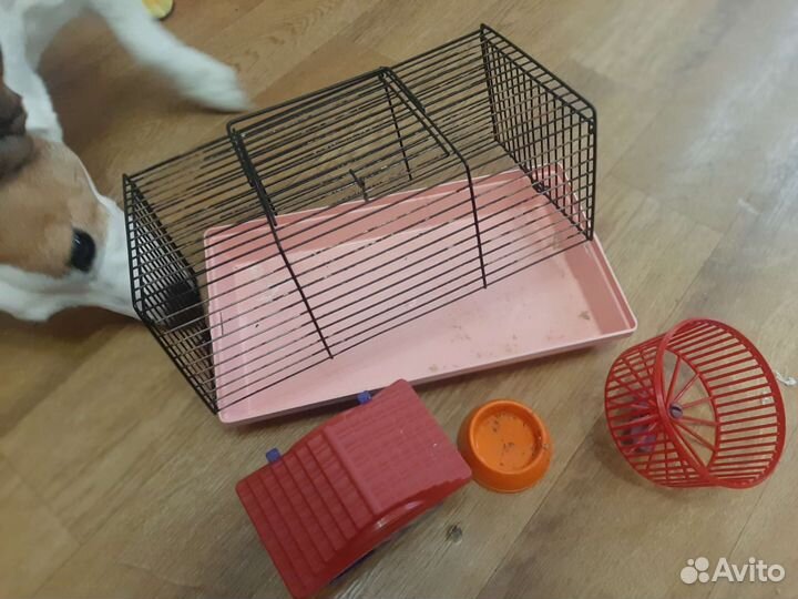 Клетка для хомяка с колесом и домиком