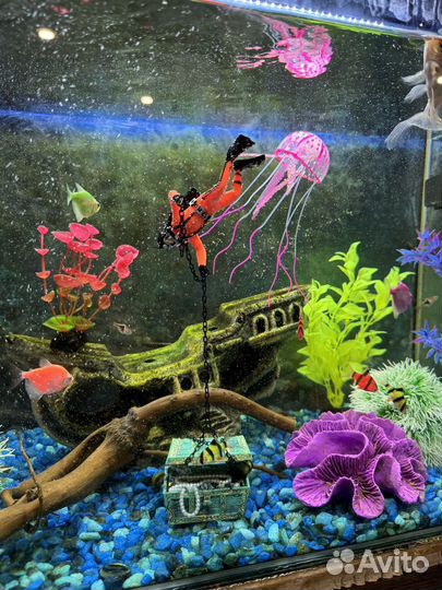 Аквариум 70л
