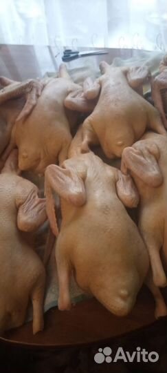 Белые утки, тушка