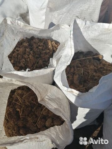 Конский навоз