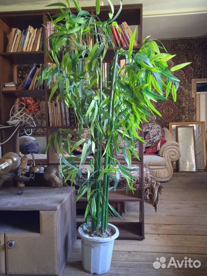 Искусственное дерево бамбук