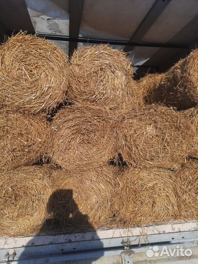 Солома в рулонах