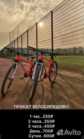 Покрышки на велосипед всех размеров