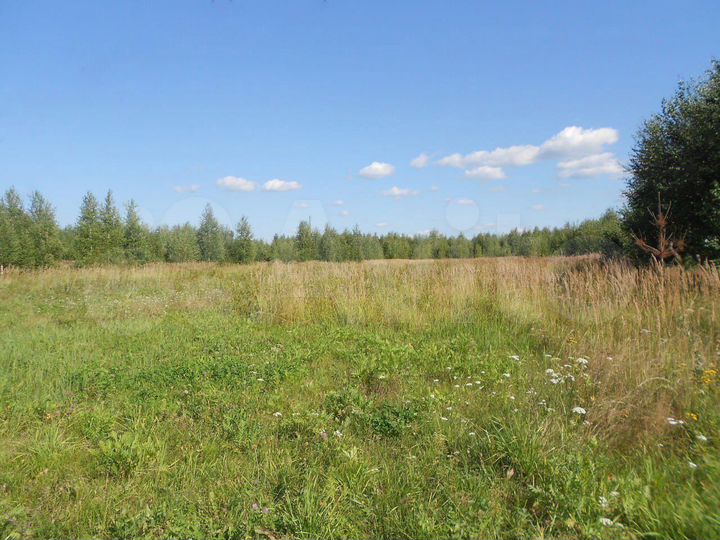 Участок 4,1 га (СНТ, ДНП)