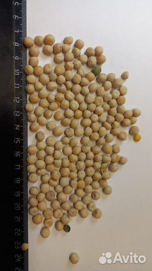 Соевый, рапсовый жмых, соя полножирная