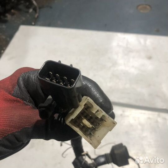 Коса передней проводки для Suzuki SV650 99-02