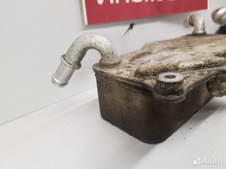 Радиатор (маслоохладитель) АКПП (Audi A6)