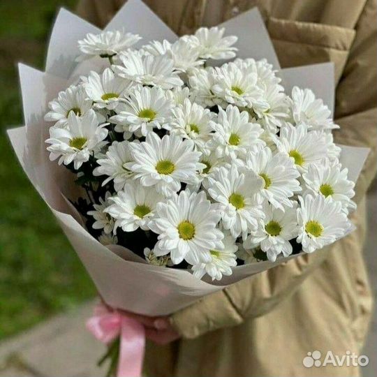 Букет из Хризантем. Цветы с Доставкой