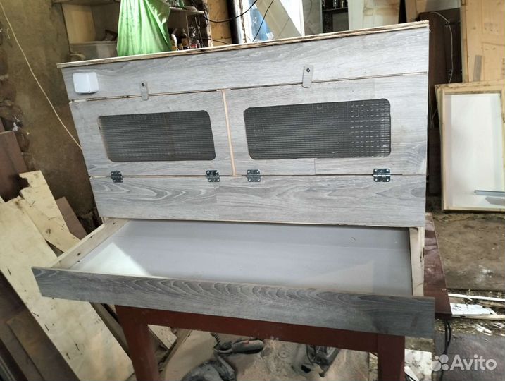 Брудер для суточных цыплят и подростков