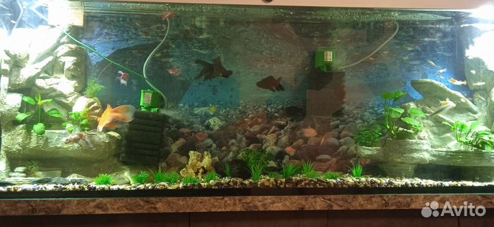 Аквариум