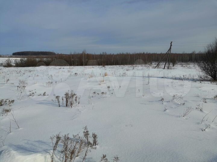 Участок 75,5 сот. (ИЖС)