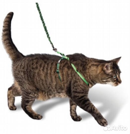 Поводок и шлейка для кошки/собаки