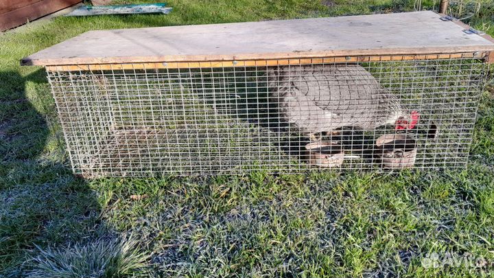 Клетка для кролика большая