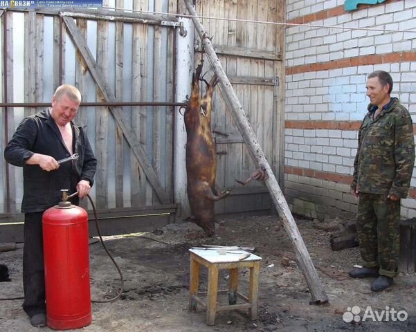 Стол для разделки свиней своими руками