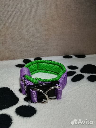 Ошейник на заказ