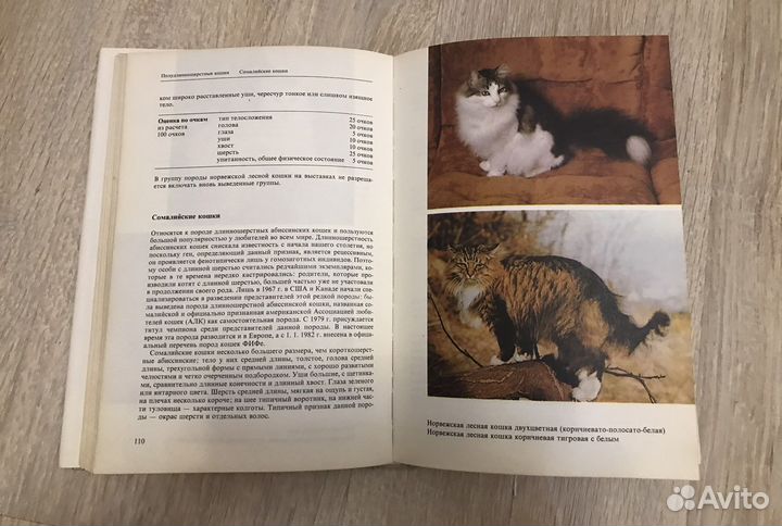 Книга « Атлас пород кошек»