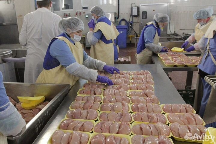 Упаковщики фасовщики вахта