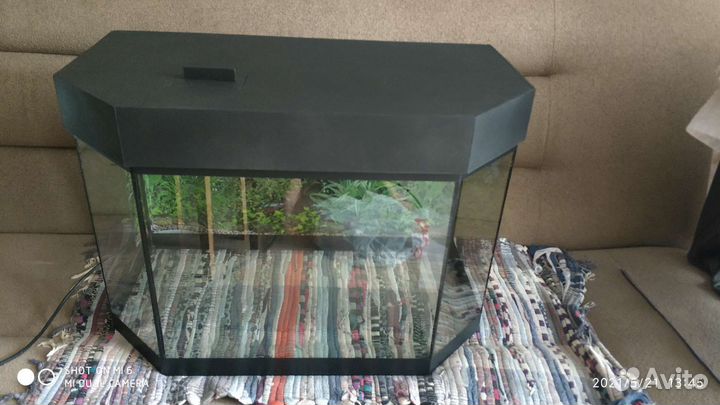 Аквариум
