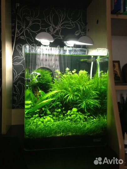 Обслуживание (чистка) аквариумов