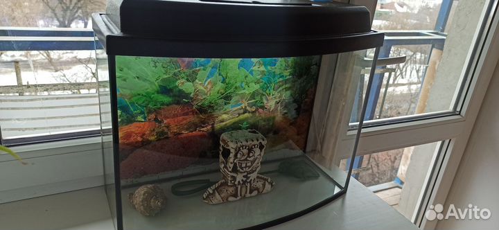 Аквариум
