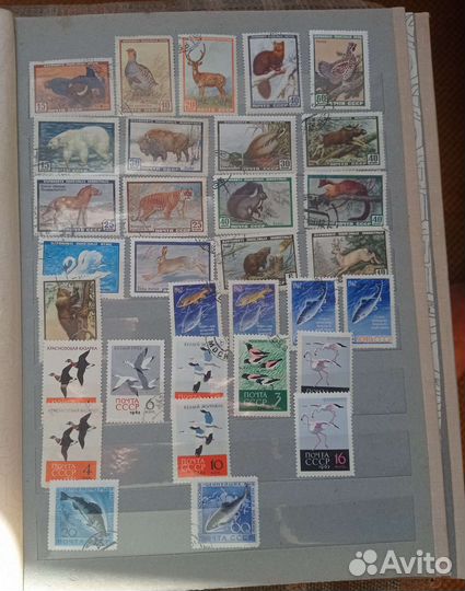 Альбом с марками СССР с 1957 по 1993 Фауна