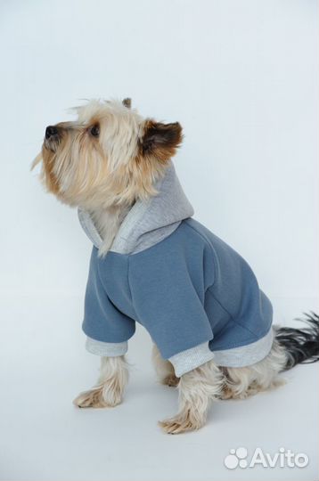 Одежда для собак и кошек