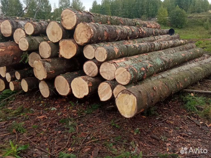 Продам лес кругляк