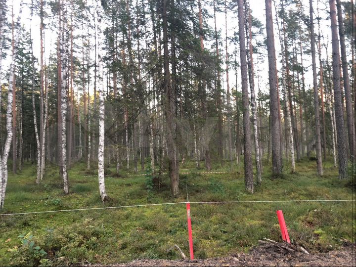 Участок 14 сот. (ИЖС)