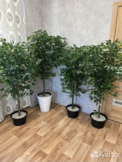 Искусственное дерево Фикус