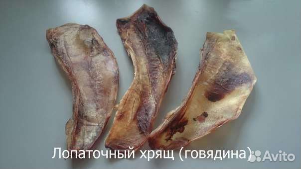 Лопаточный хрящ