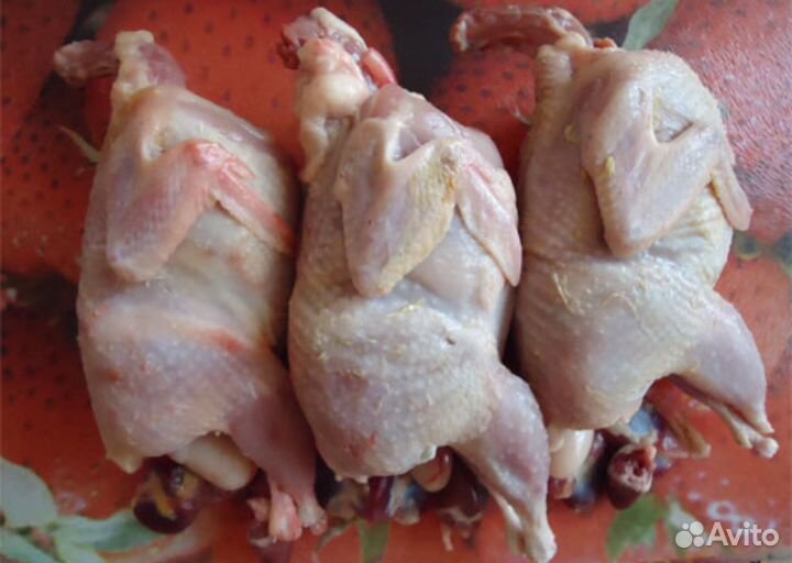 Перепелиное мясо