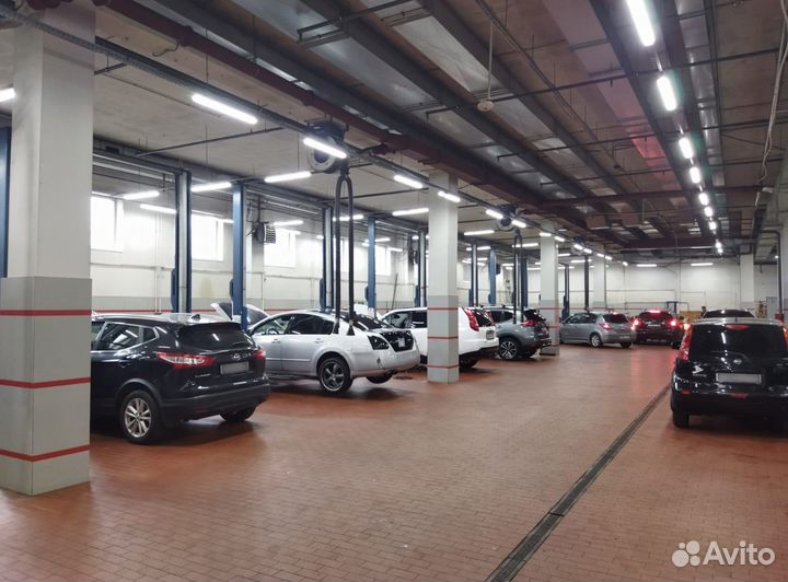 Водитель - перегонщик в техцентр