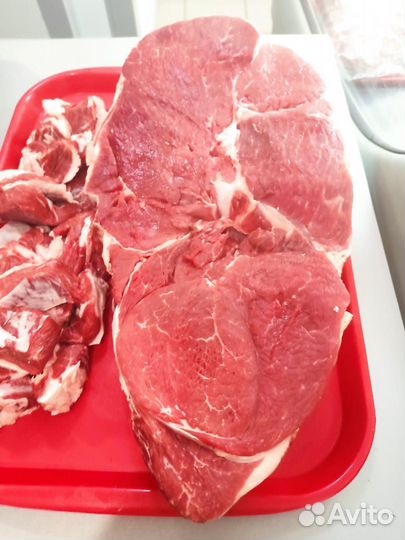 Продам мясо говядина