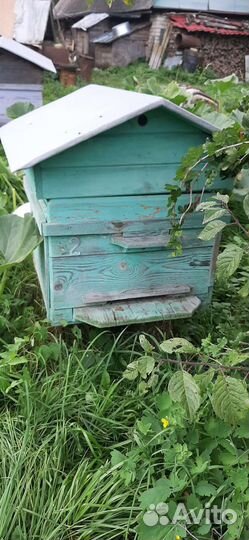 Улей для пчел