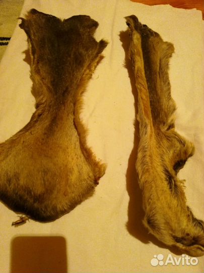 Меховые шкурки (камусы)