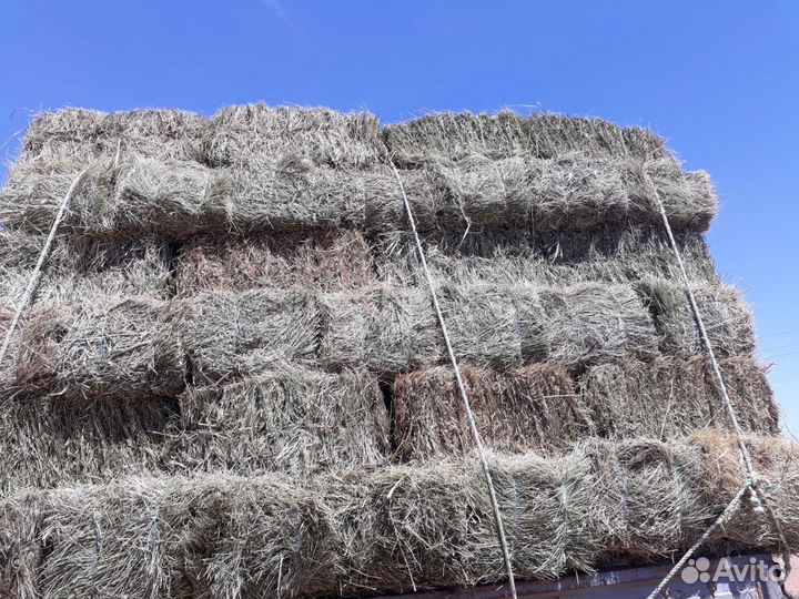 Сено в тюках