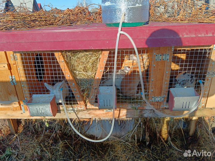 Кроличьи клетки