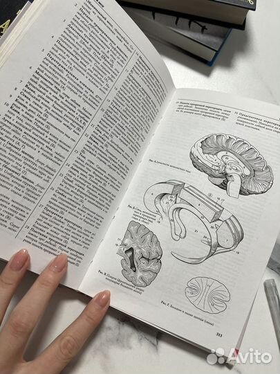 Книги по анатомии