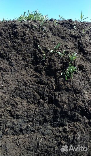 Грунт плодородный для огорода с доставкой