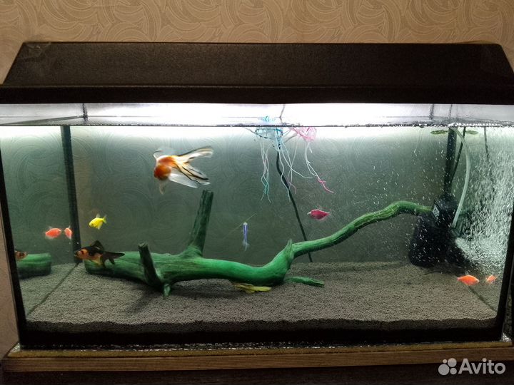 Аквариум