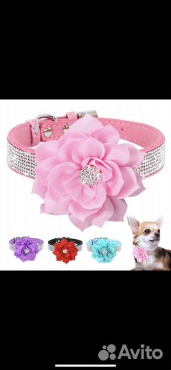 Ошейники для мал и средних собак и кошек