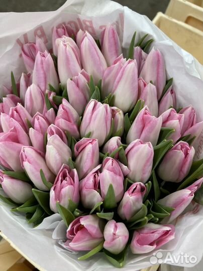 Букет тюльпанов