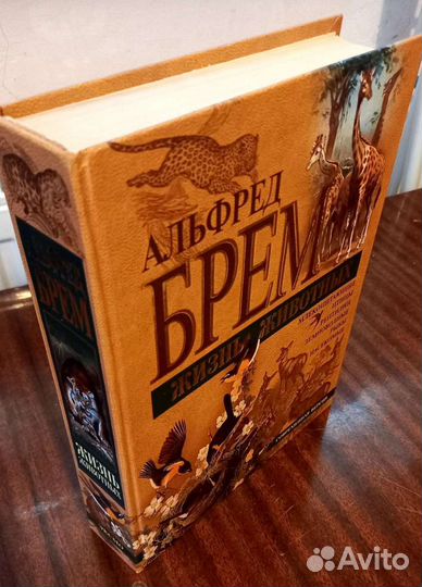 Книга Жизнь животных современная версия Брем