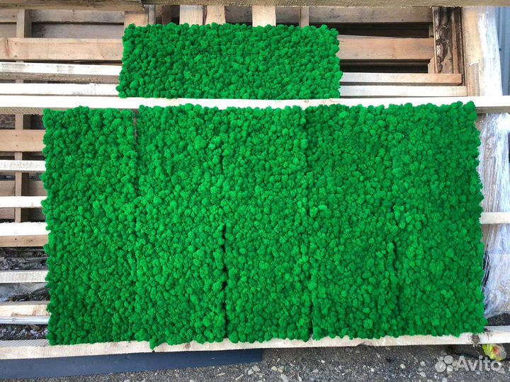 Стабилизированный мох Фито панели