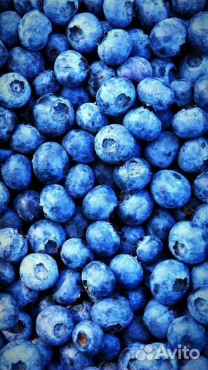 Вахта Комплектовщик Москва от 10 смен