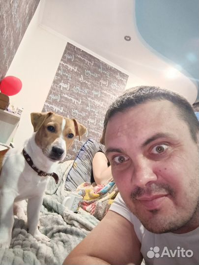 Инженер по гарантии