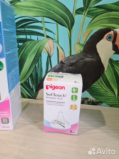 Соски для бутылочек pigeon