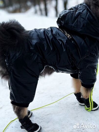 Комбинезон для собаки